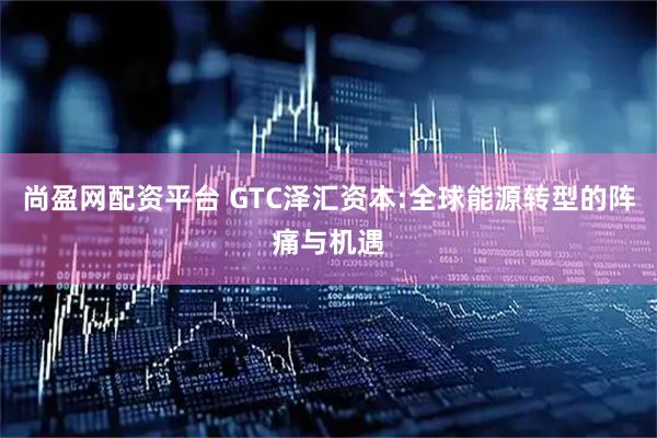 尚盈网配资平台 GTC泽汇资本:全球能源转型的阵痛与机遇