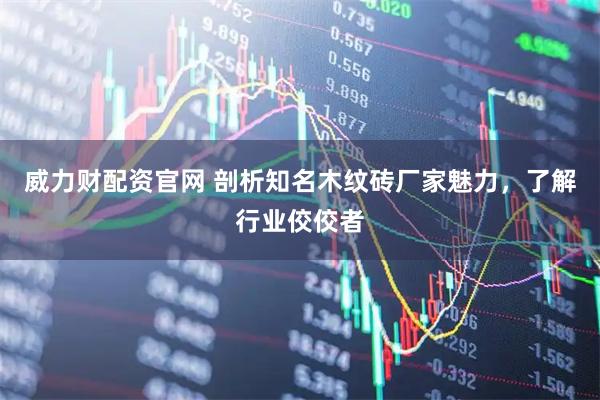 威力财配资官网 剖析知名木纹砖厂家魅力，了解行业佼佼者